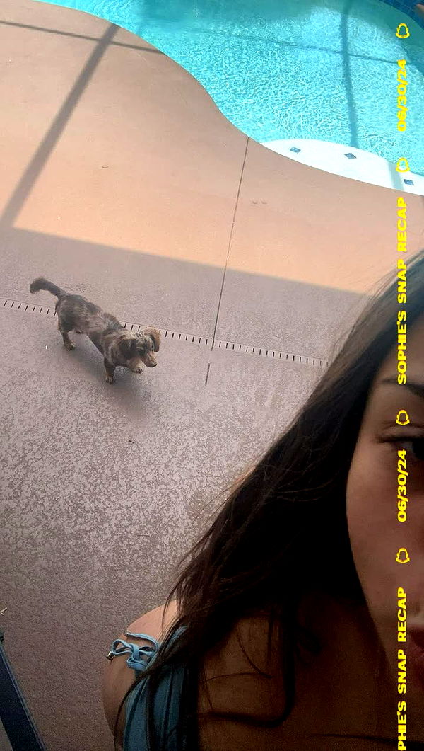 sophieraiin image ~ Altpins