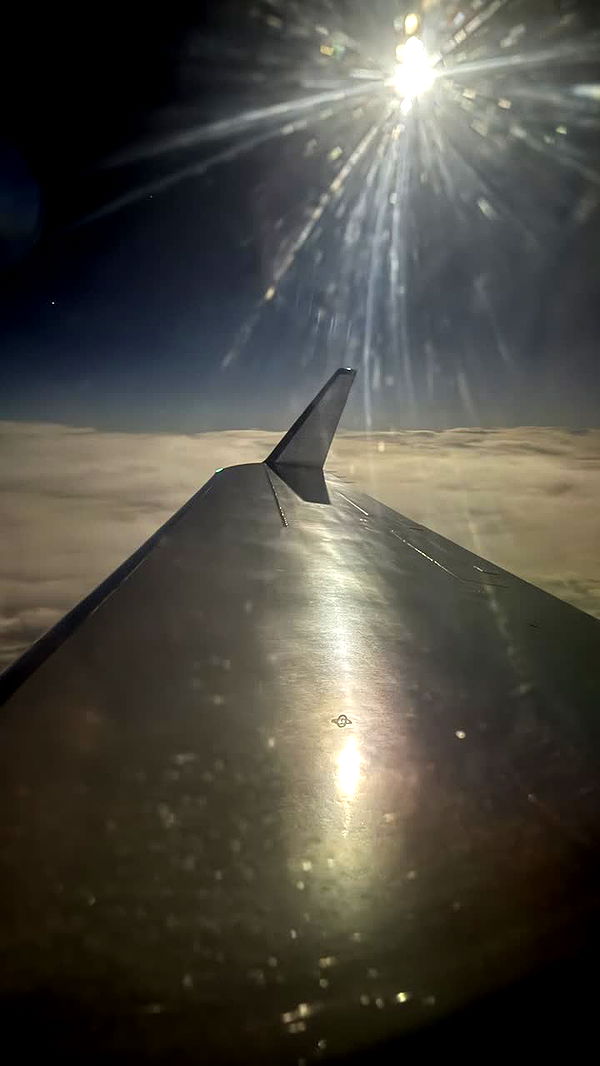 sophieraiin image ~ Altpins