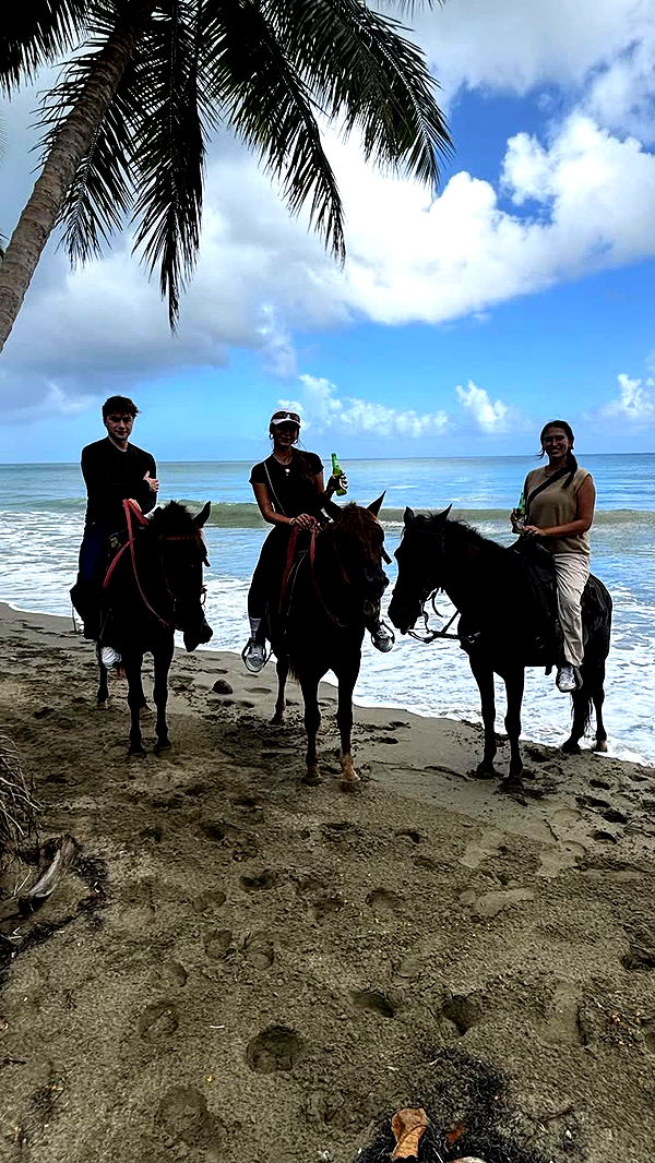 sophieraiin image ~ Altpins