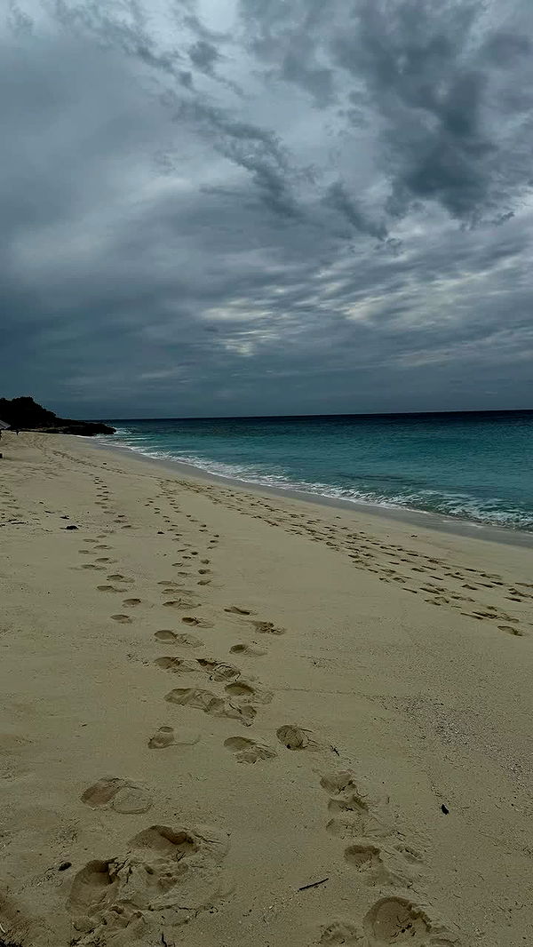 sophieraiin image ~ Altpins