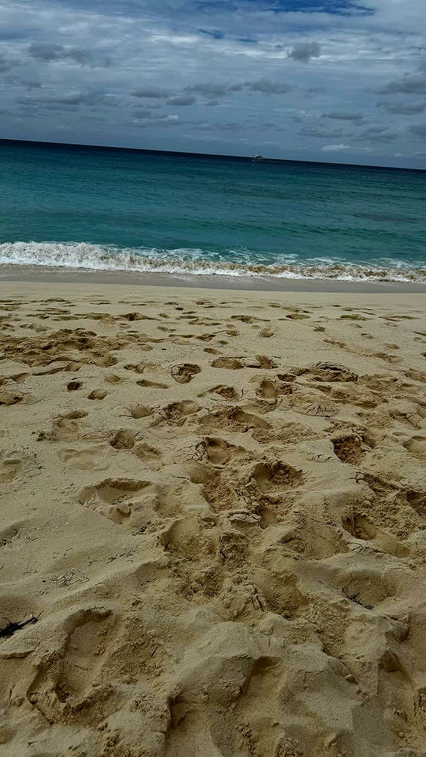 sophieraiin image ~ Altpins