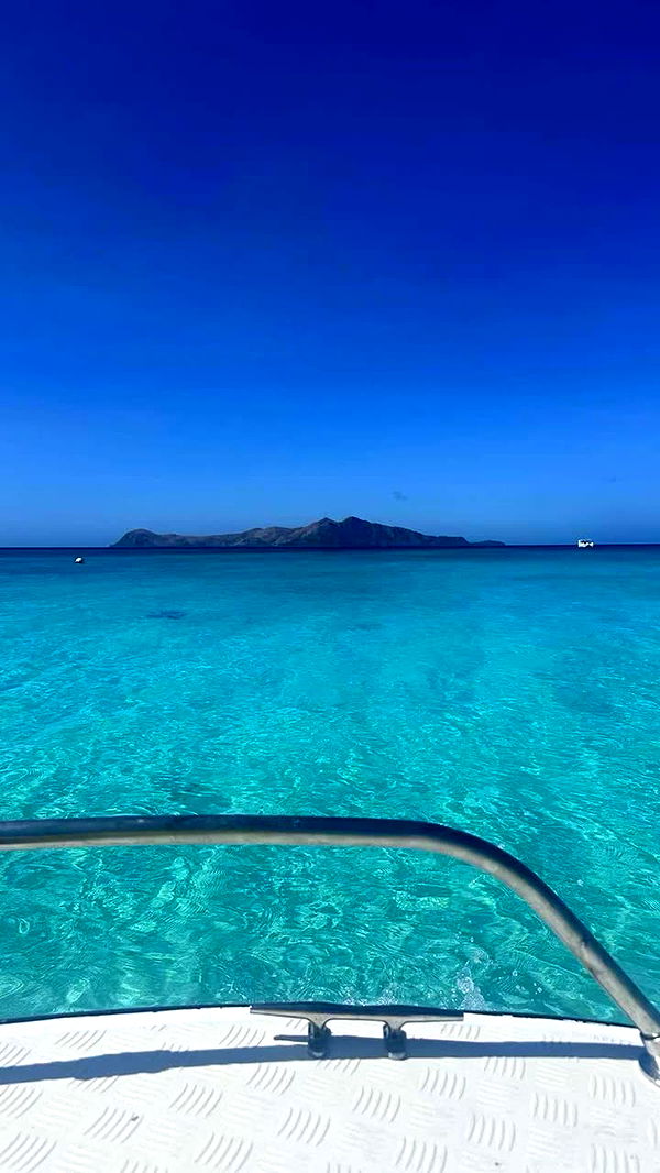 sophieraiin image ~ Altpins