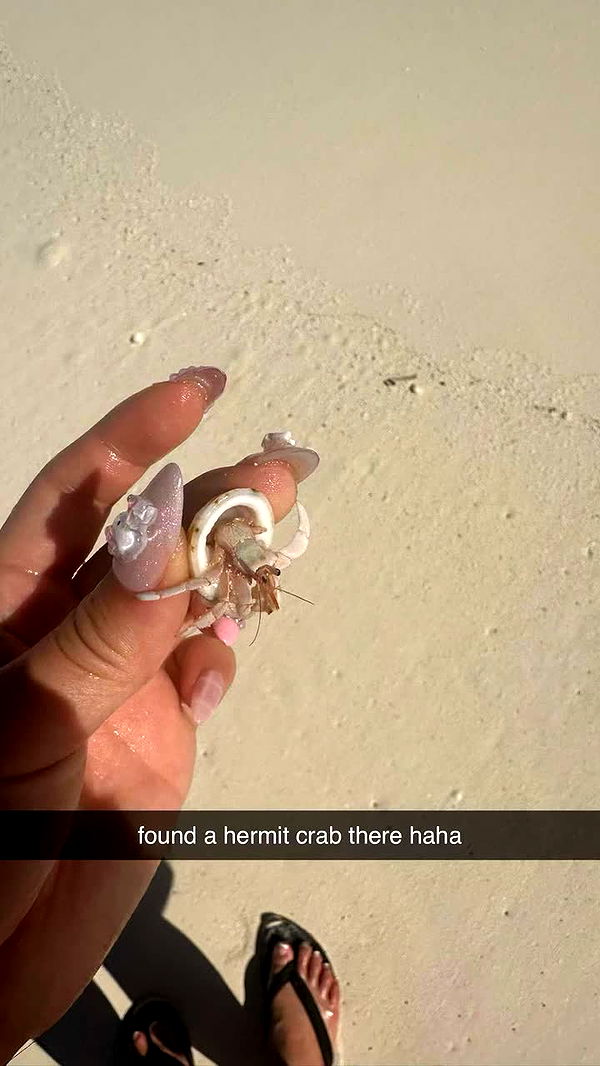 sophieraiin image ~ Altpins