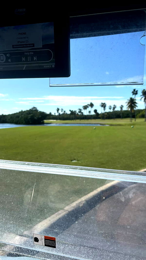 sophieraiin image ~ Altpins