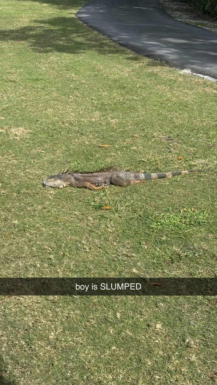 sophieraiin snapchat image archive image