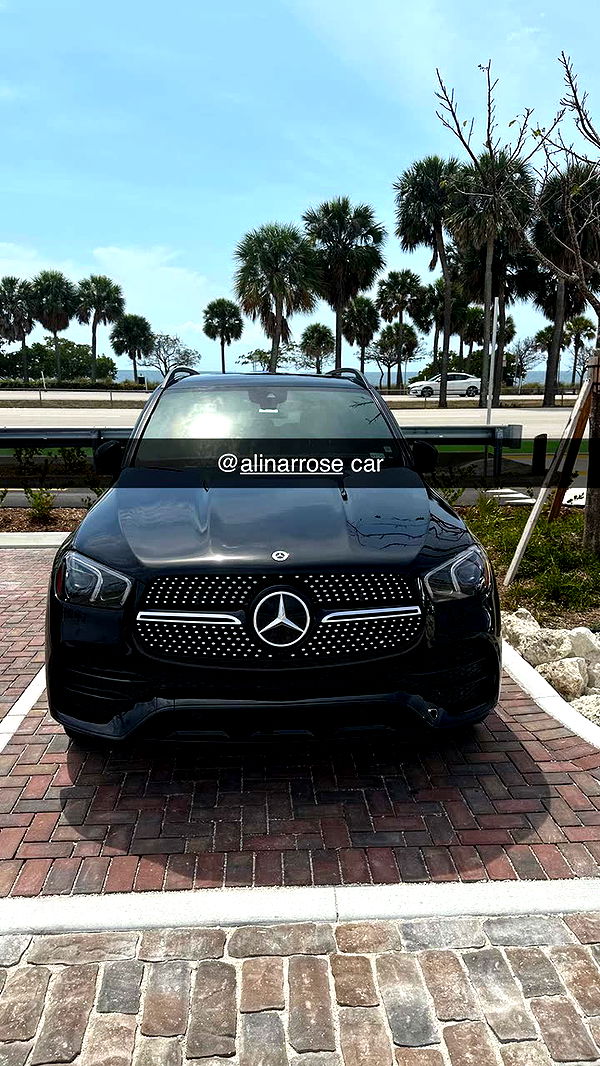 sophieraiin image ~ Altpins