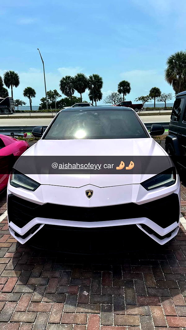 sophieraiin image ~ Altpins