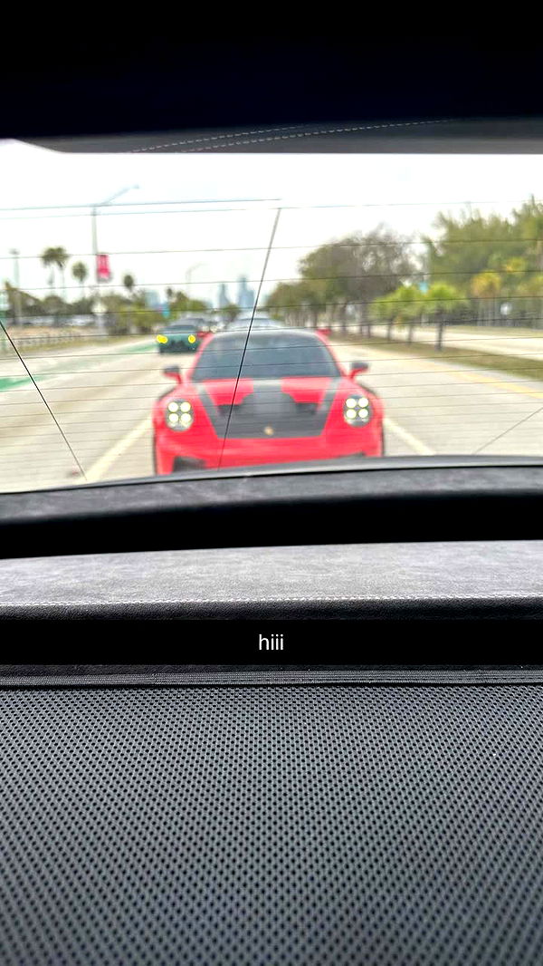 sophieraiin image ~ Altpins