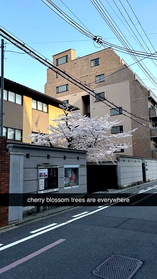 sophieraiin snapchat image archive image