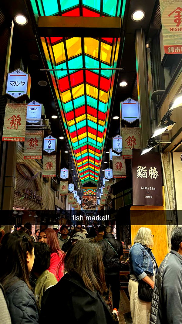 sophieraiin snapchat image archive image