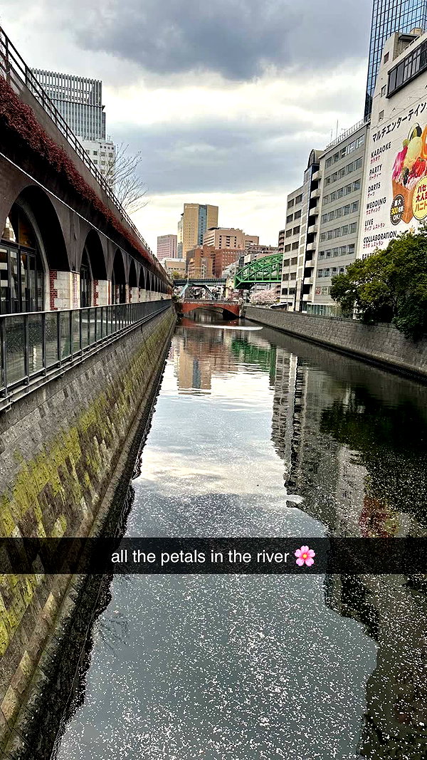 sophieraiin snapchat image archive image