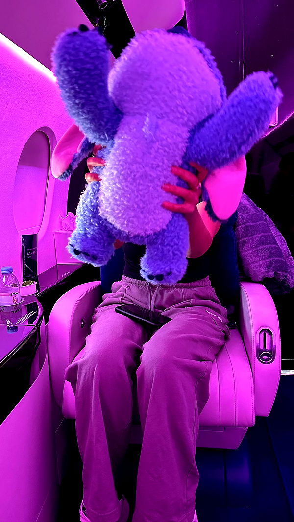 sophieraiin image ~ Altpins