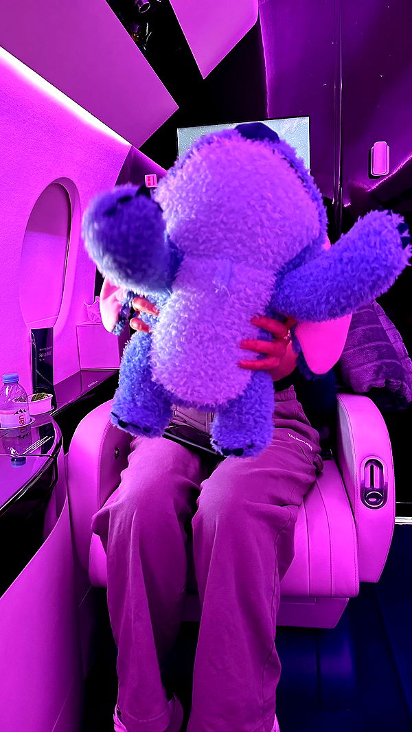 sophieraiin image ~ Altpins