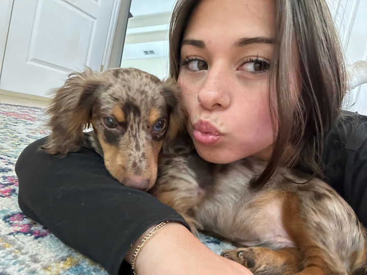 sophieraiin snapchat image archive image