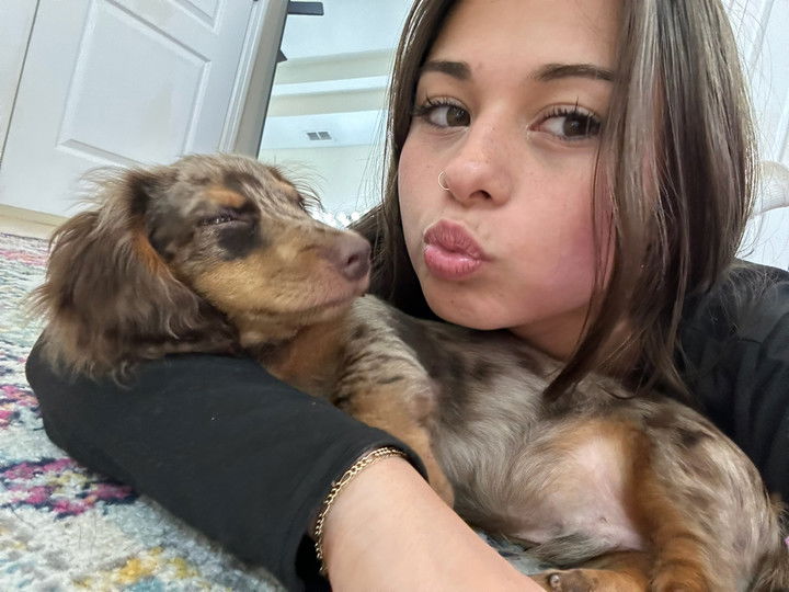 sophieraiin snapchat image archive image