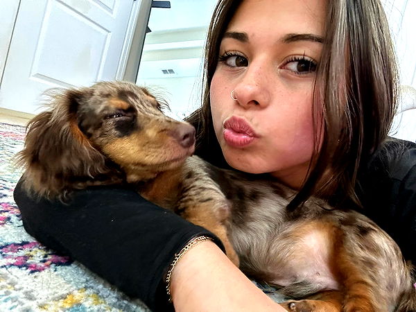 sophieraiin image ~ Altpins