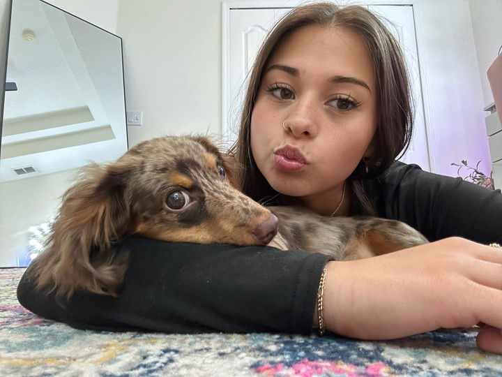 sophieraiin snapchat image archive image