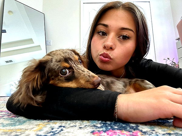 sophieraiin image ~ Altpins