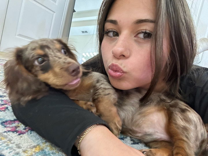 sophieraiin snapchat image archive image