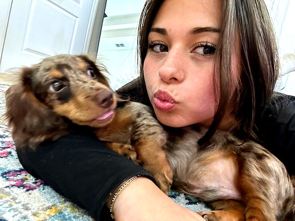 sophieraiin image ~ Altpins