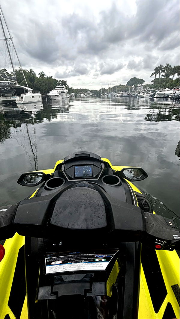 sophieraiin image ~ Altpins