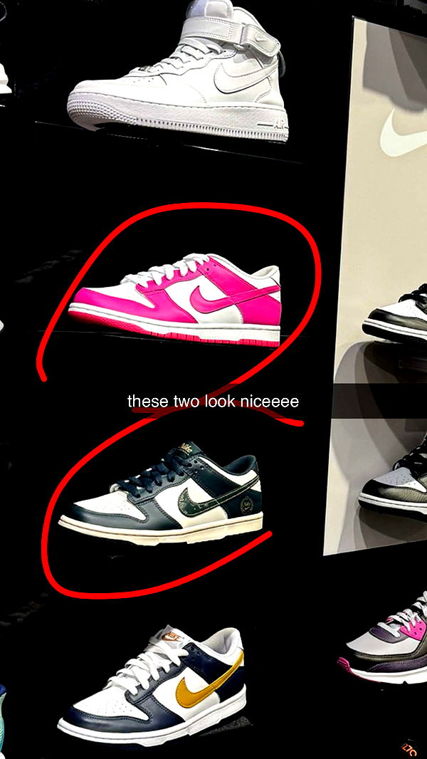 sophieraiin image ~ Altpins