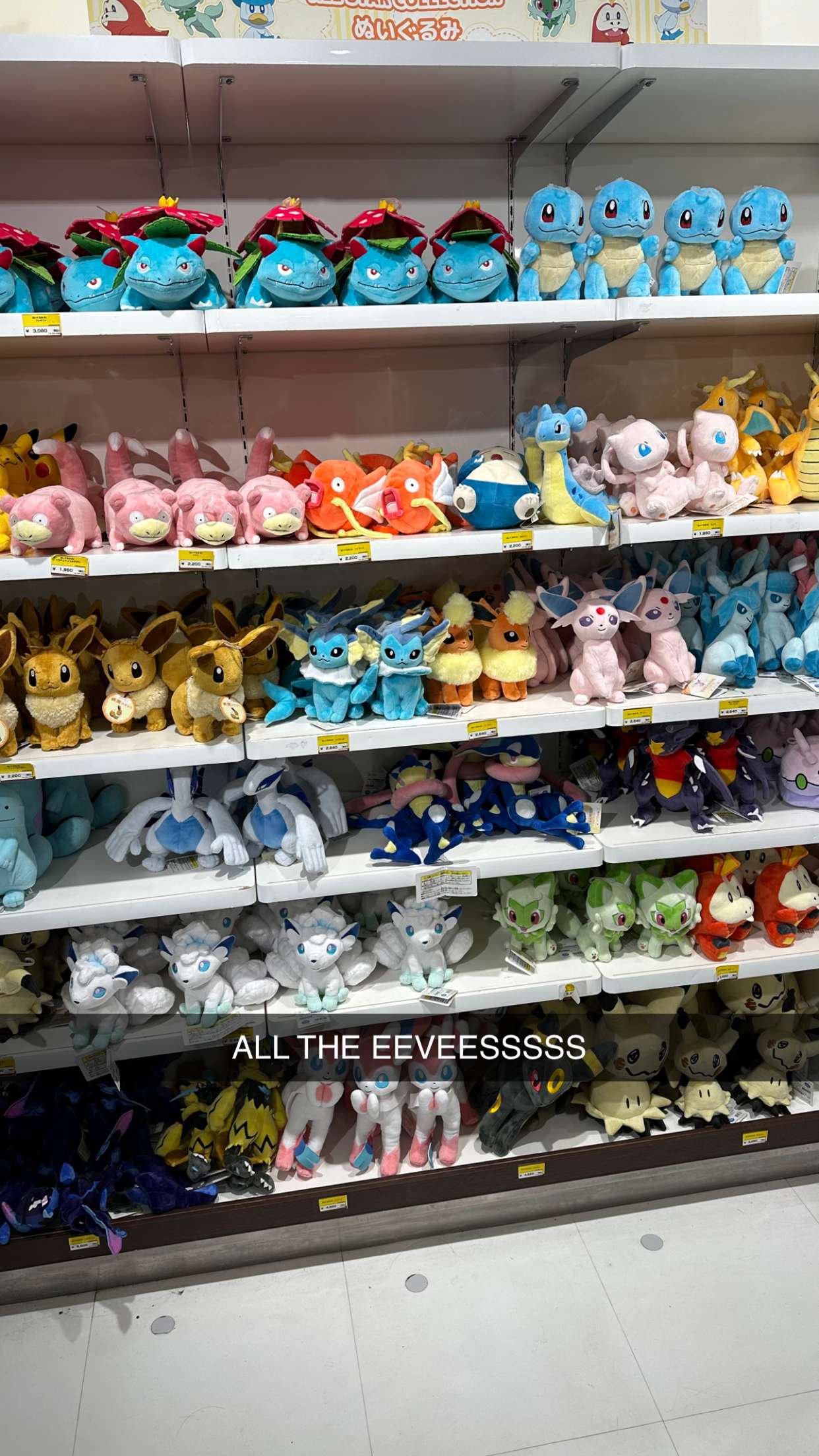 sophieraiin snapchat image archive image