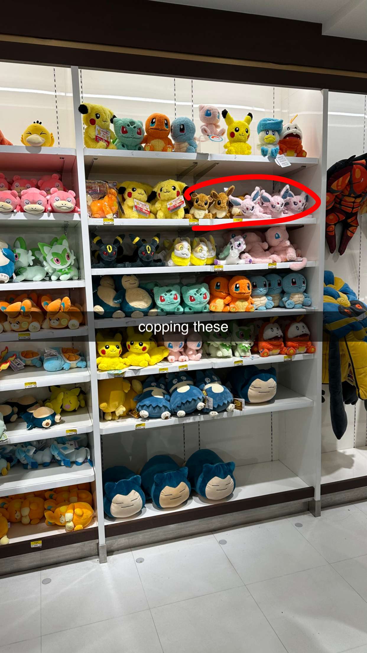 sophieraiin snapchat image archive image