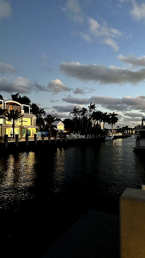 sophieraiin image ~ Altpins