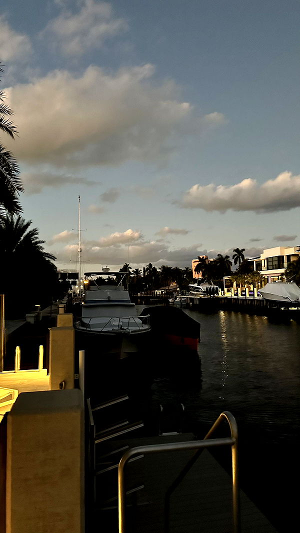 sophieraiin image ~ Altpins