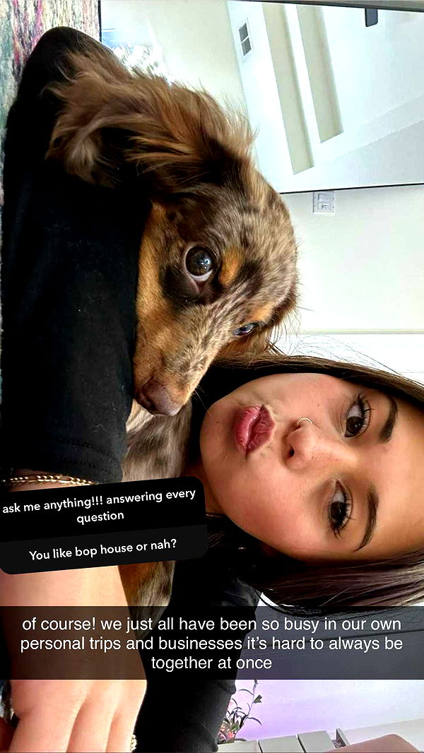 sophieraiin image ~ Altpins