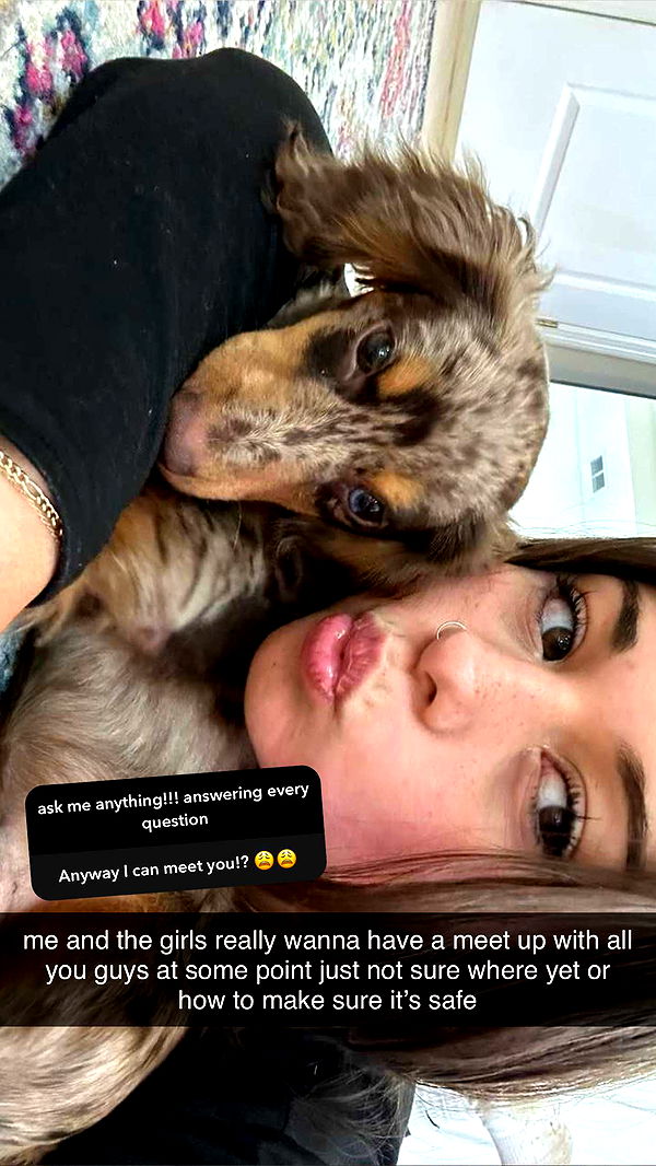 sophieraiin image ~ Altpins