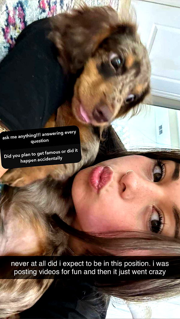 sophieraiin image ~ Altpins