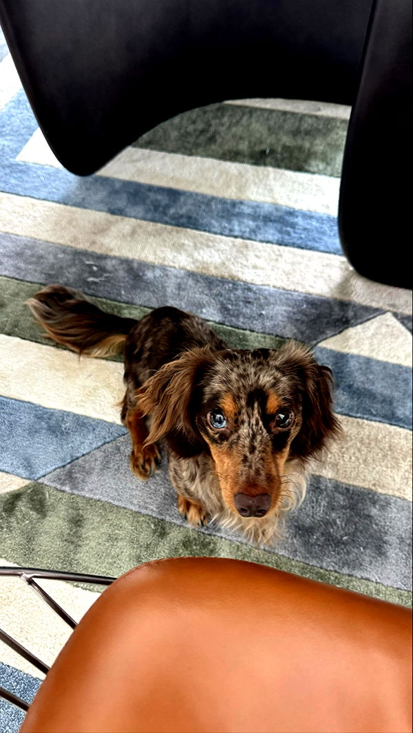 sophieraiin image ~ Altpins