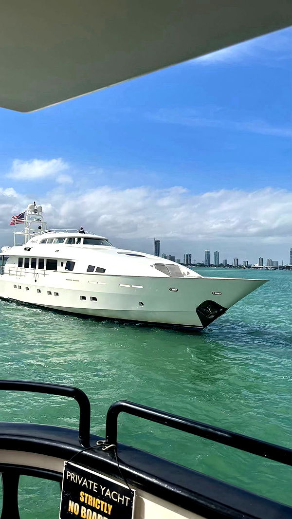 sophieraiin image ~ Altpins