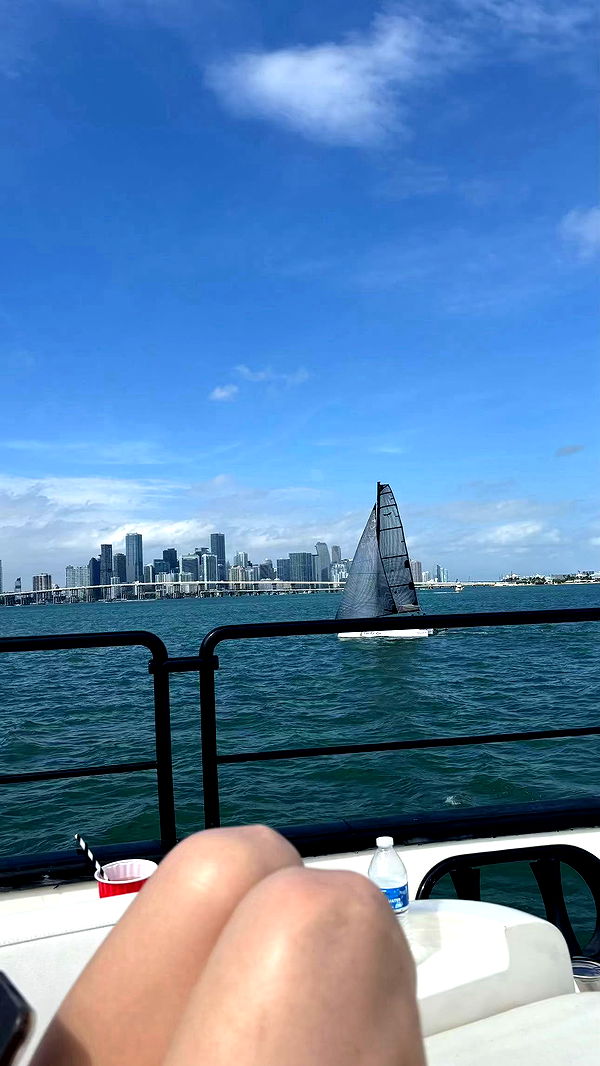 sophieraiin image ~ Altpins