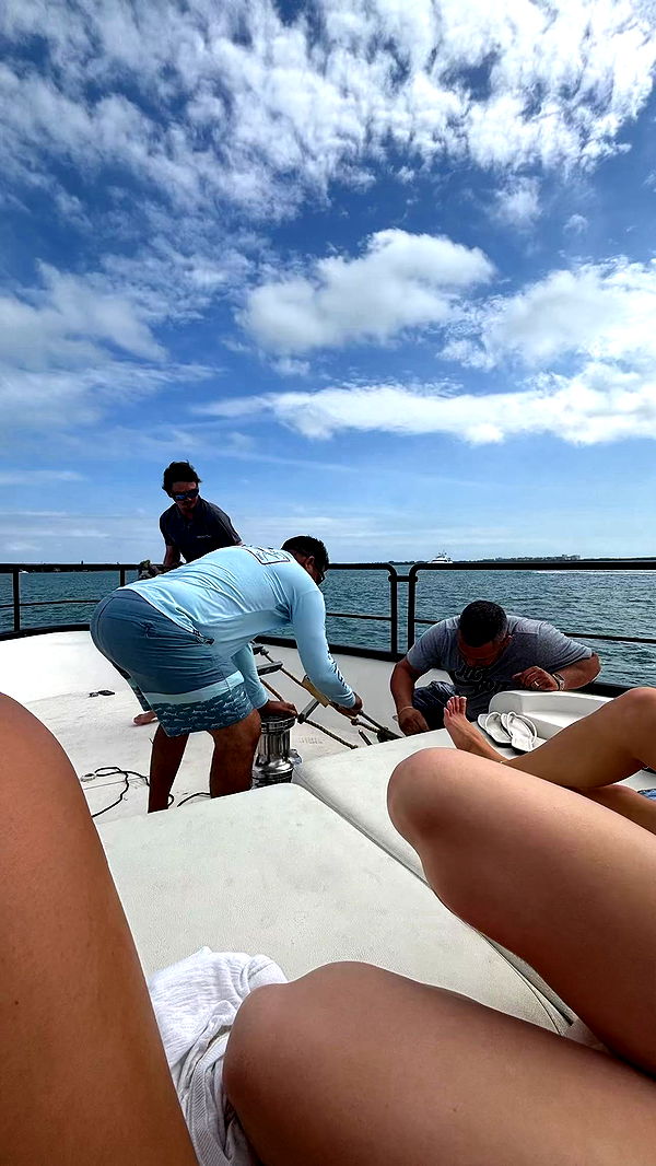 sophieraiin image ~ Altpins