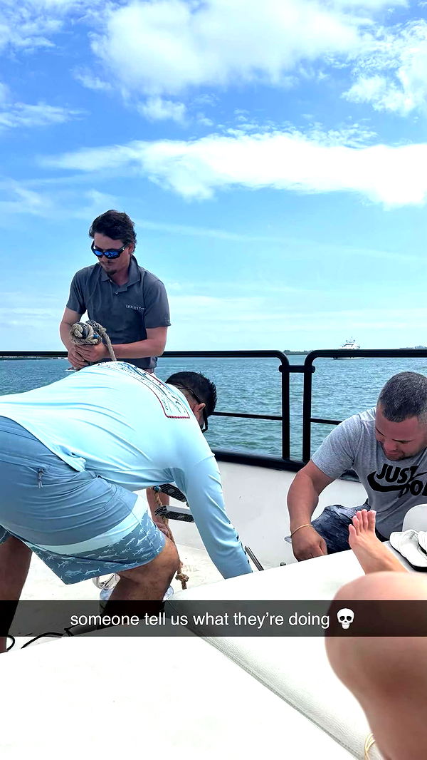 sophieraiin image ~ Altpins