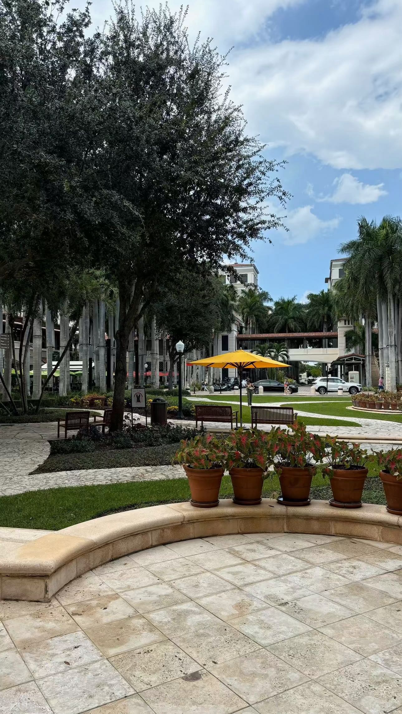 sophieraiin snapchat image archive image