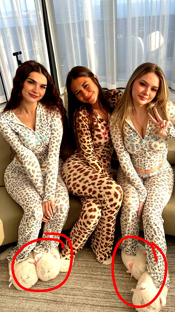 sophieraiin image ~ Altpins