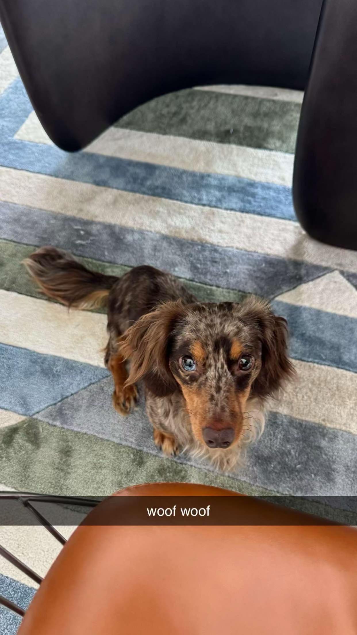 sophieraiin snapchat image archive image