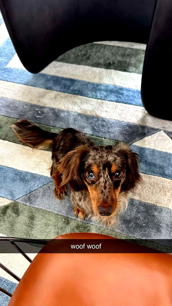 sophieraiin image ~ Altpins