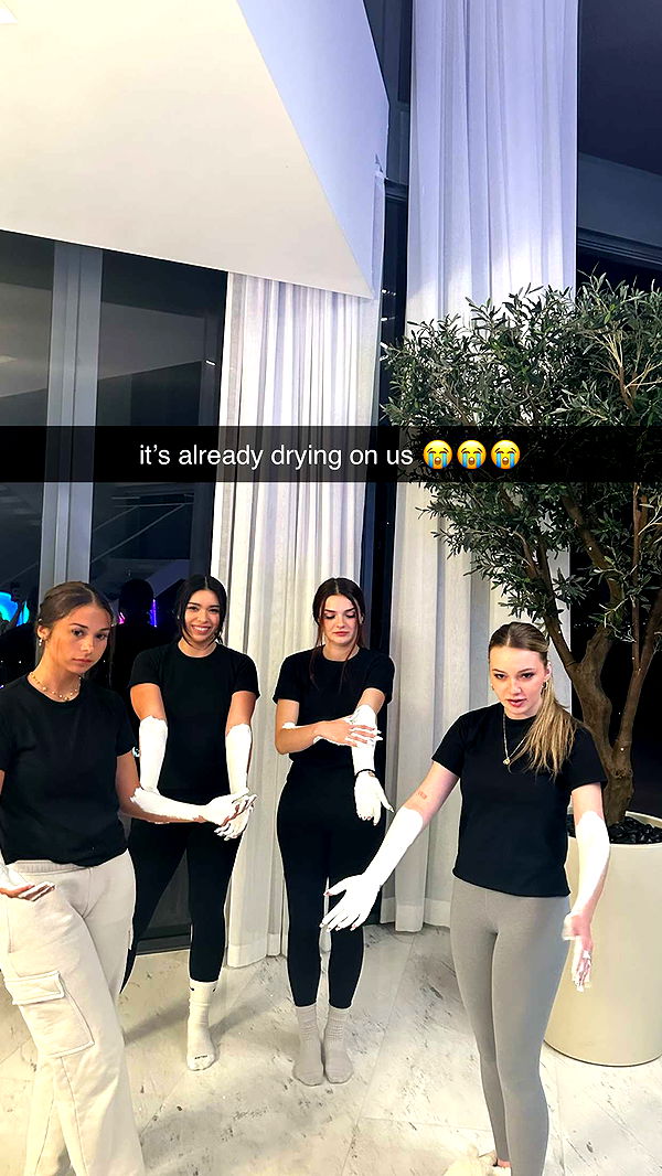 sophieraiin image ~ Altpins