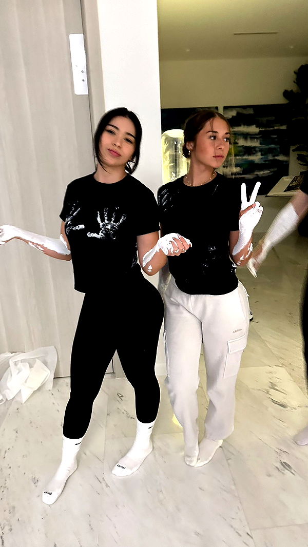 sophieraiin image ~ Altpins