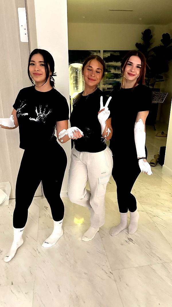 sophieraiin image ~ Altpins