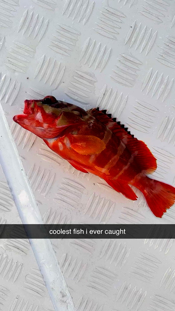 sophieraiin snapchat image archive image