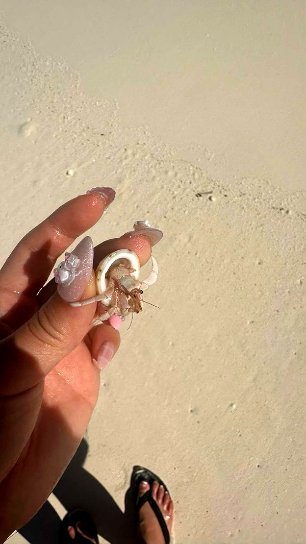 sophieraiin snapchat image archive image
