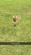 sophieraiin Altpins Profile Picture