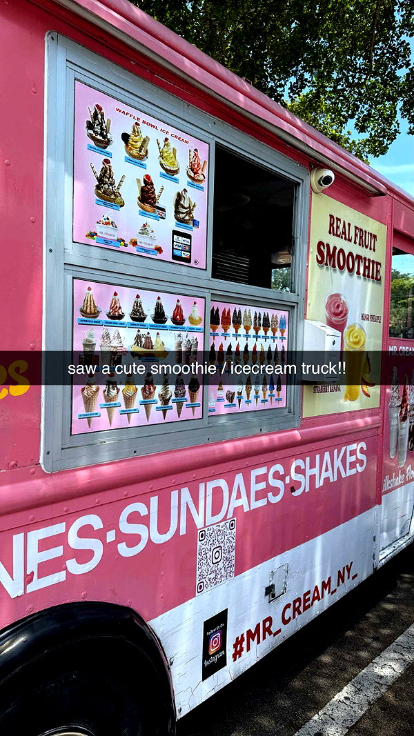 sophieraiin snapchat image archive image