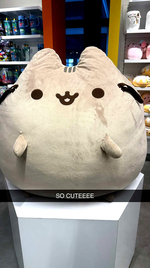 sophieraiin snapchat image archive image